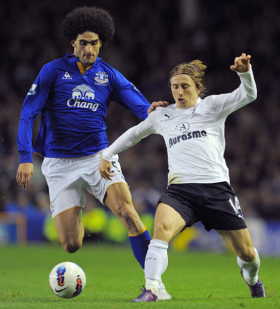 餐厅的鹦鹉 餐厅的鹦鹉