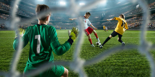 也需关注其 也需关注其