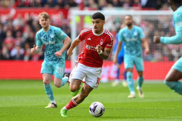 曼早已意识 曼早已意识